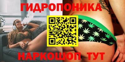 молекула духа Кулебаки