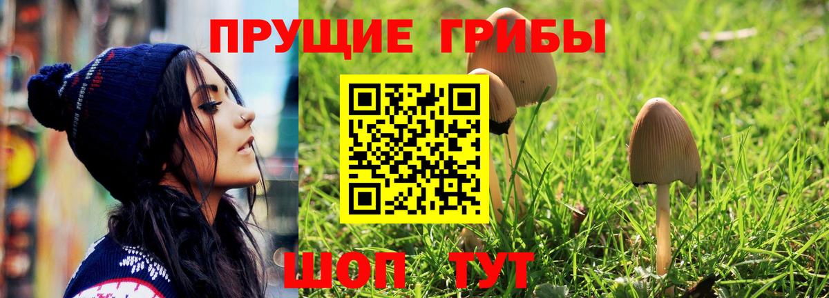 Псилоцибиновые грибы мицелий  Вход с VPN  Тимашёвск 