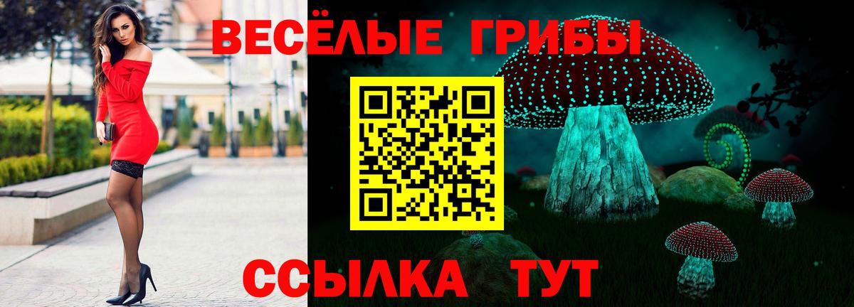 Псилоцибиновые грибы Psilocybe Тимашёвск